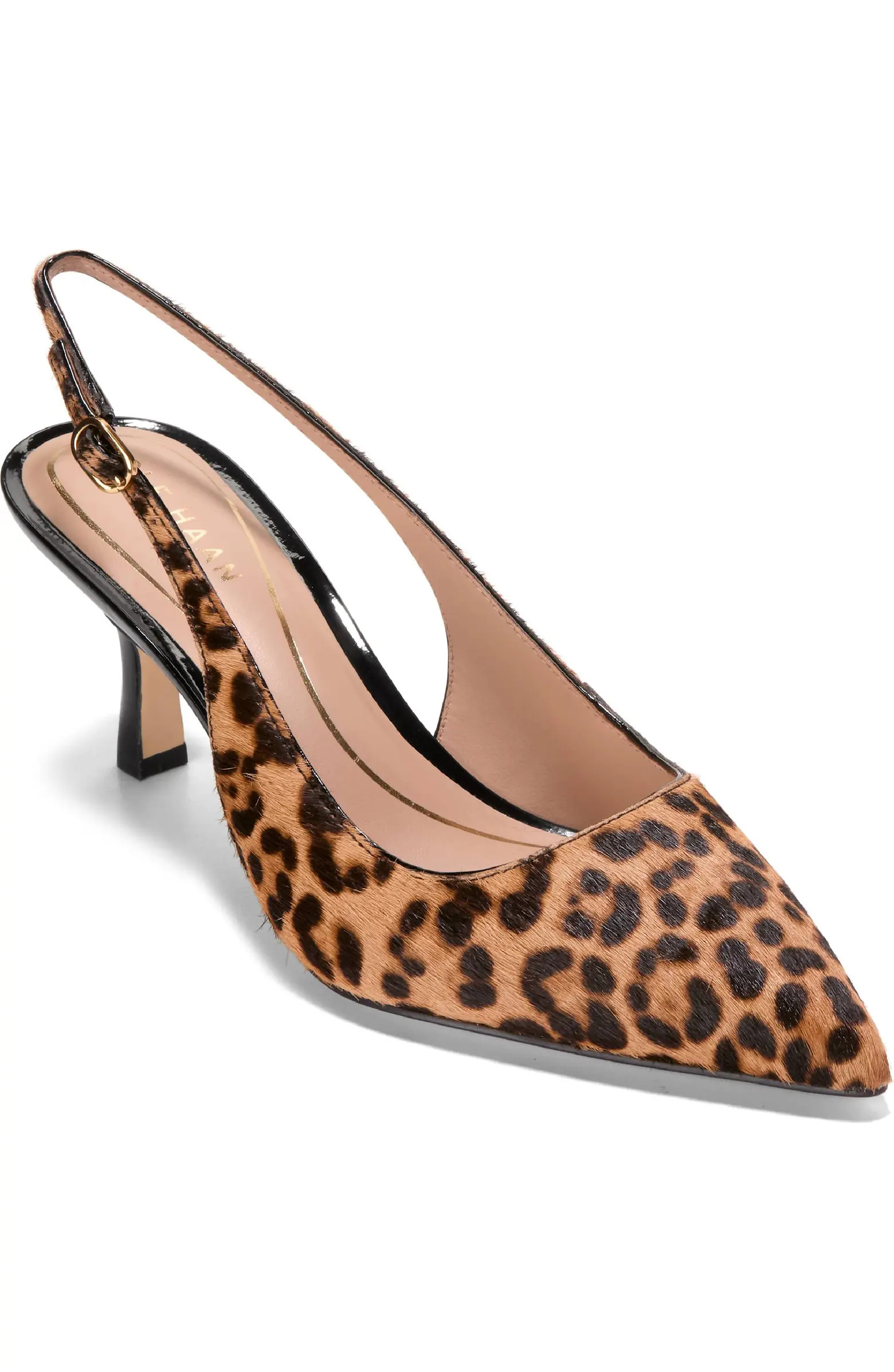 Hansell Slingback Pointed Toe Pump (Women) | Nordstrom