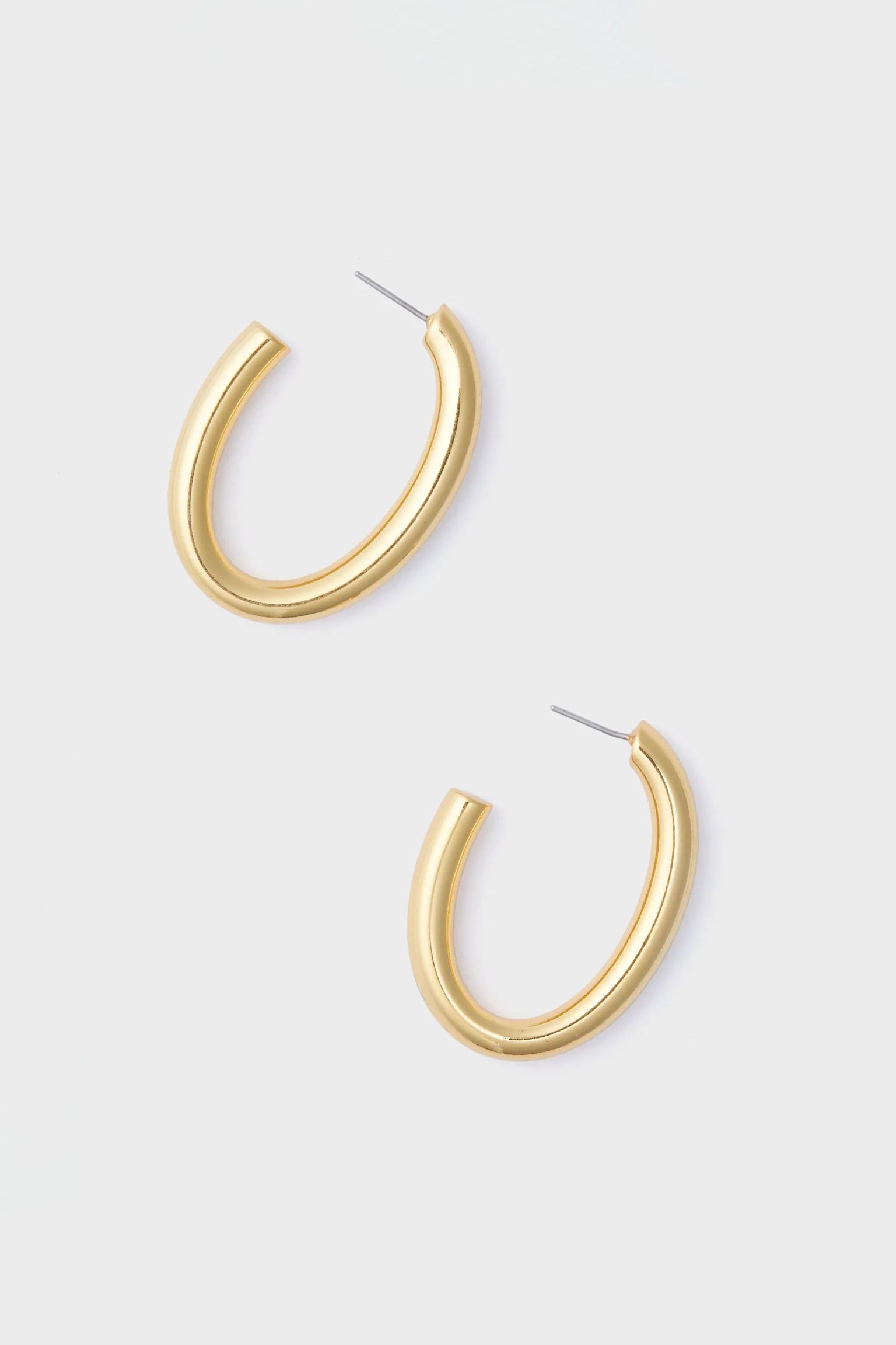Classic Gold Oval Hoops | Tuckernuck (US)