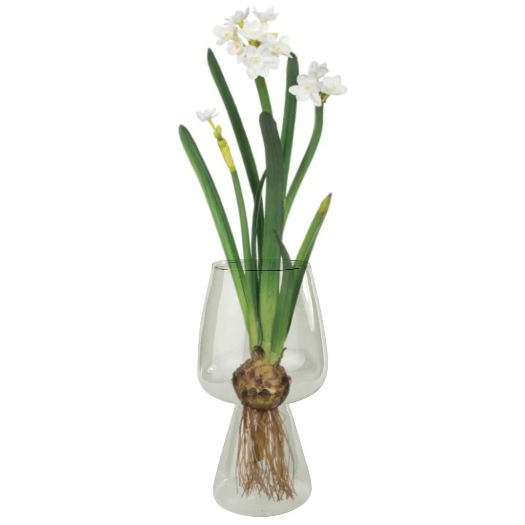 Glass Paperwhite Flower Bulb Hyacinth Tulip Hostess Gift - Etsy | Etsy (US)