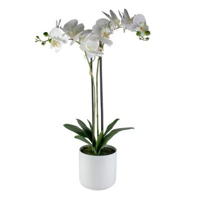 Raz Imports 29" White Blossom Artificial Potted Orchid Plant | Target