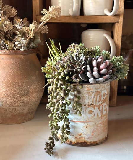 Amazing faux succulents that look real! Comes in a large pack...Great deal!! 

#LTKunder50 #LTKhome