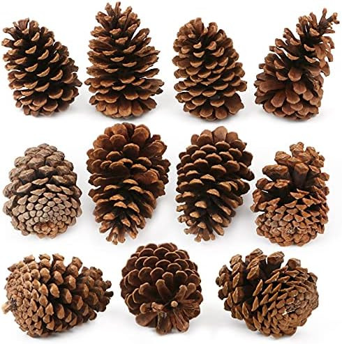 YEXPRESS 12 Pack Large Natural Pinecones, 3.5" to 4.7" Christmas Rustic Natural Pine Cones Fall O... | Amazon (US)