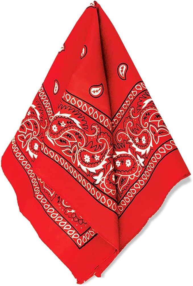 amscan womens Paisley Bandana | Amazon (US)