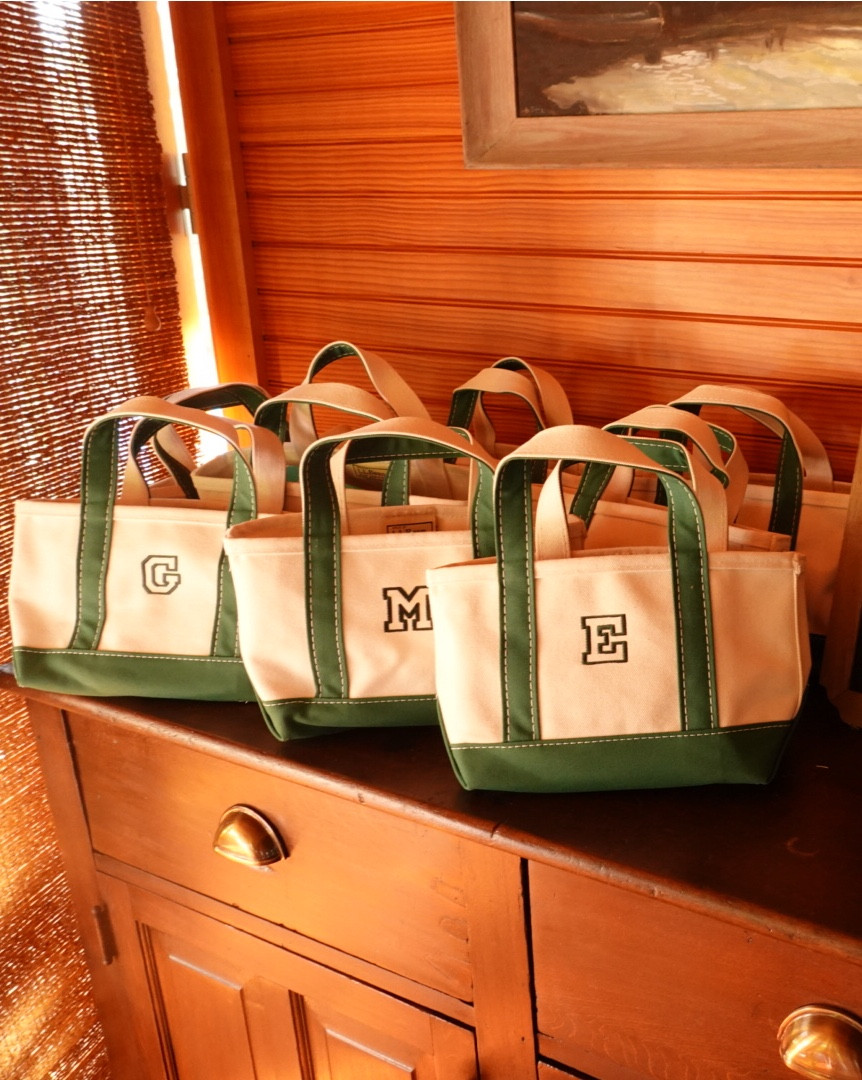 #LTKItBag #LTKStyleTip #LTKTravel