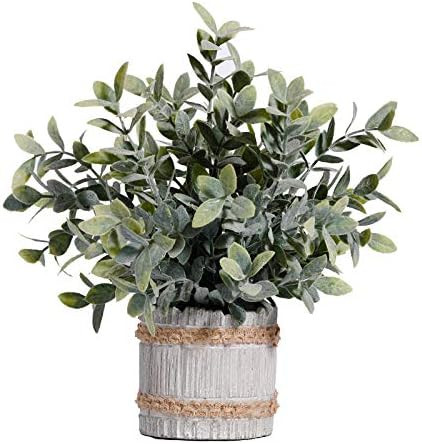 MIAIU Small Potted Artificial Plants Plastic Fake Greenery Topiary Shrubs for Home Office Farmhou... | Amazon (US)