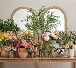 Faux Elevated Cherry Blossom Bundle | Pottery Barn (US)