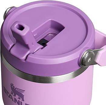 STANLEY IceFlow 2.0 Flip Straw Tumbler, 20 oz, Lilac | Amazon (US)