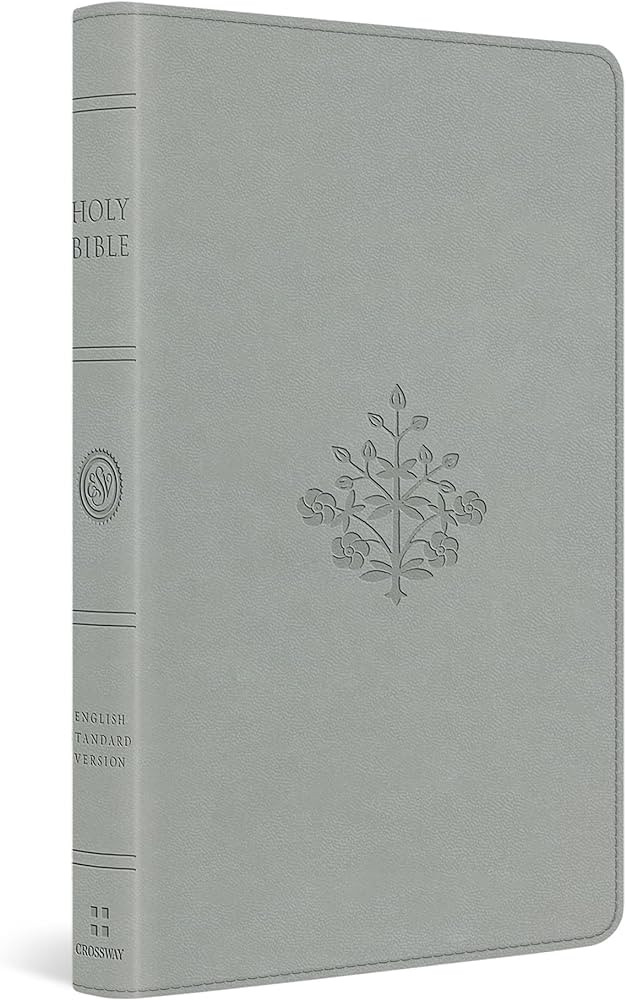 ESV Large Print Value Thinline Bible (TruTone, River Stone, Branch Design): Holy Bible, English S... | Amazon (US)