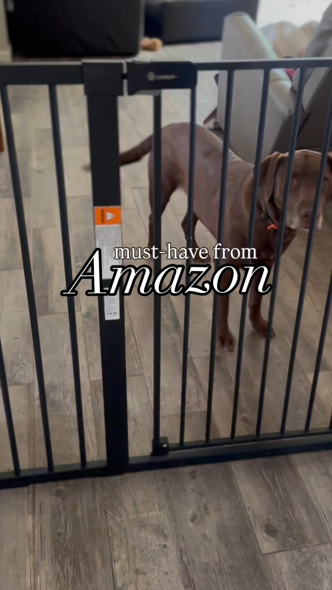 Life with 3 kids and 3 dogs feels like running a small zoo — thank goodness for our durable gates! They open both ways, don’t damage the walls, and keep the chaos (mostly) contained. I have 3 of these in my house & highly recommend if you’re looking 🐾👶🚪

#LTKKids #LTKFamily #LTKHome