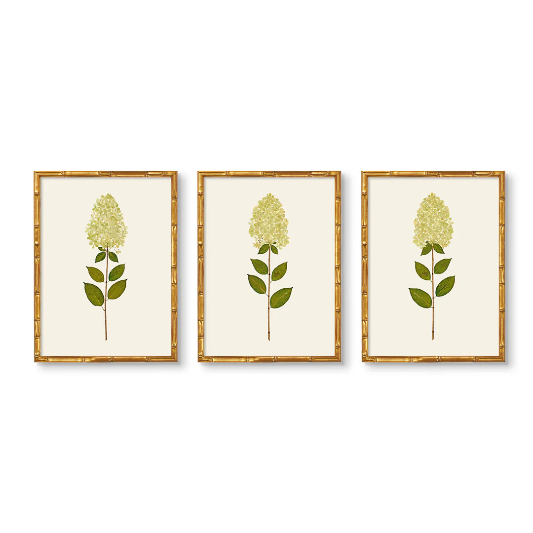 Natural Flower Hydrangea Art Prints | Hand Pressed | Original | Urban Garden Prints