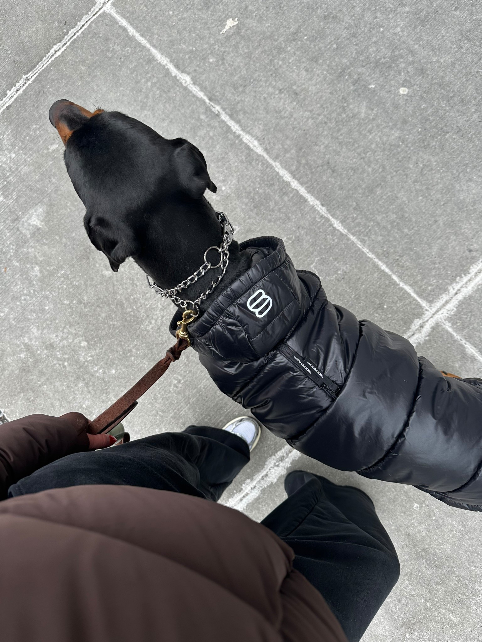 matching aritzia super puffs with my pup 🤎🖤

#LTKSeasonal #LTKActive #LTKGiftGuide