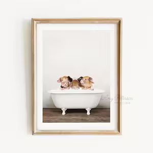 Three Little Pigs in a Vintage Bathtub, Rustic Bath Style, Pigs in Tub, Animal Bathroom Art, Bath... | Etsy (US)