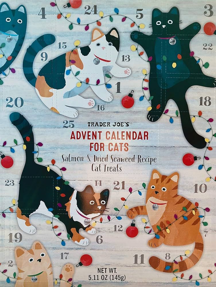Trader Joe's Advent Calendar for Cats - Salmon and Dried, No Color, Size No Size | Amazon (US)