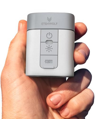 ETENWOLF AIR 3 Air Pump for Inflatables with 2600 mAh Battery & Camping Light, Ultra-Fast and Mini Electric Air Pump, Inflate Deflate for Air Mattress, Pool Floats, Vacuum Storage Bags (White) | Amazon (US)