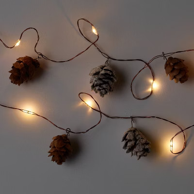 30ct LED Glitter Flocked Pinecone Dew Drop Battery Operated String Lights Warm White with Brown W... | Target