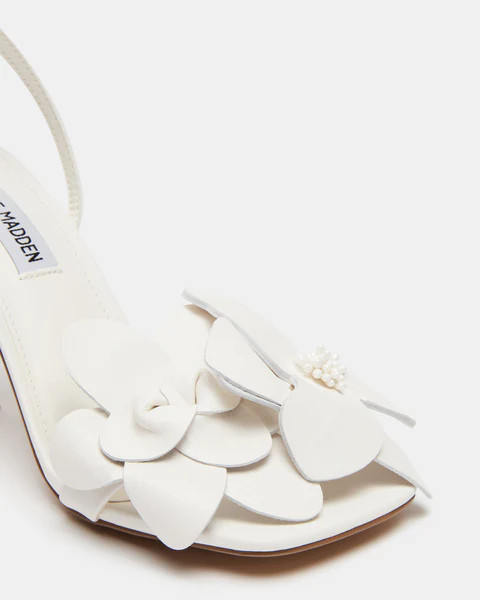 AMANI WHITE | Steve Madden (US)