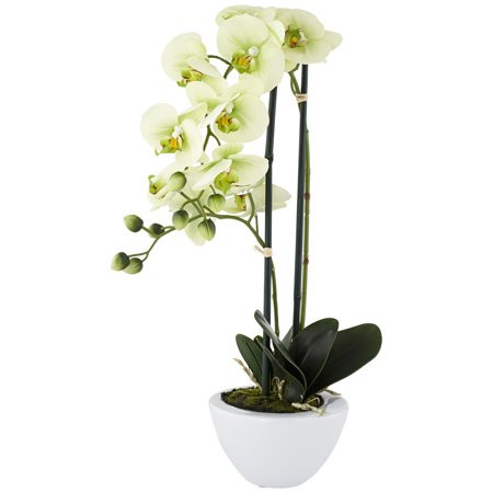Dahlia Studios Light Green Phalaenopsis Faux Orchid in White Ceramic Pot | Walmart (US)