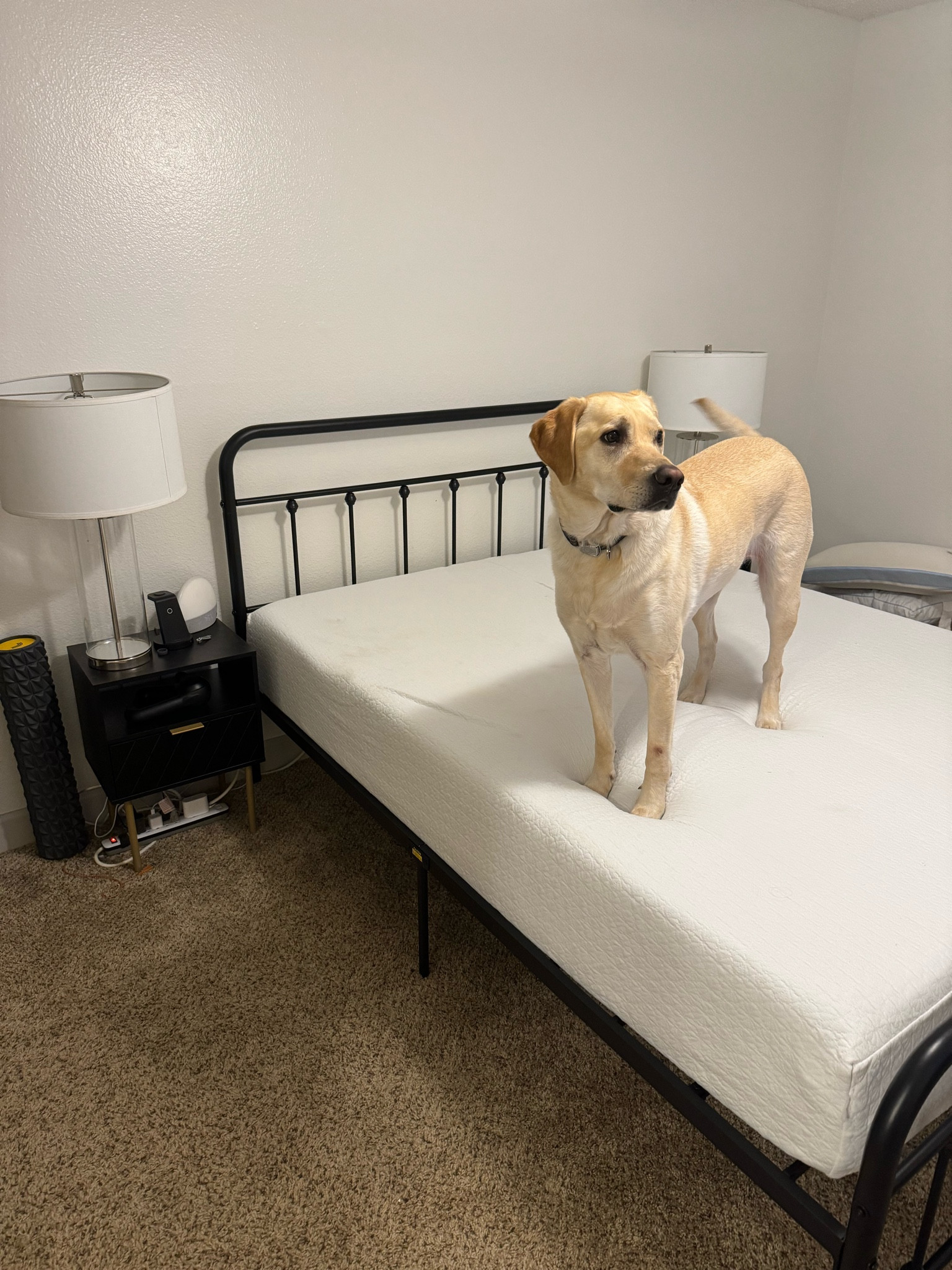 Setting up our bedroom!

#LTKhome