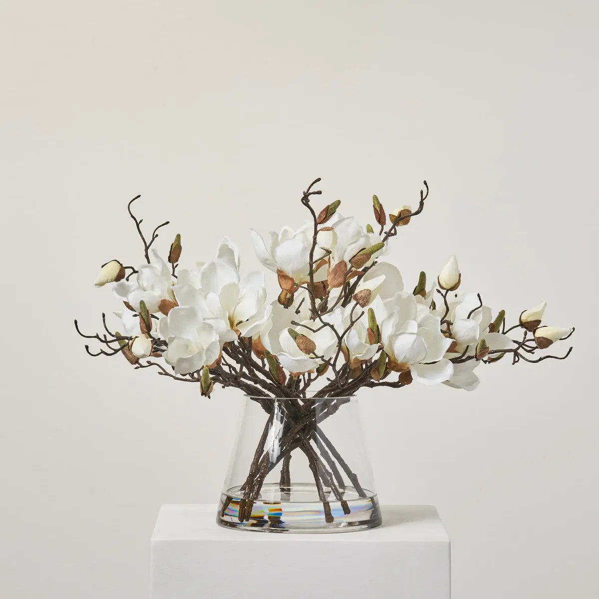 White Magnolia Blooms & Branch Buds in Pyramid Style Vase Everyday Spring Water Illusion | Darby Creek Trading