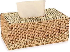 Sumnacon Tissue Box Cover Rectangle Tissue Box Rattan Tissue Box Holder,Wicker Decorative Tissue ... | Amazon (US)