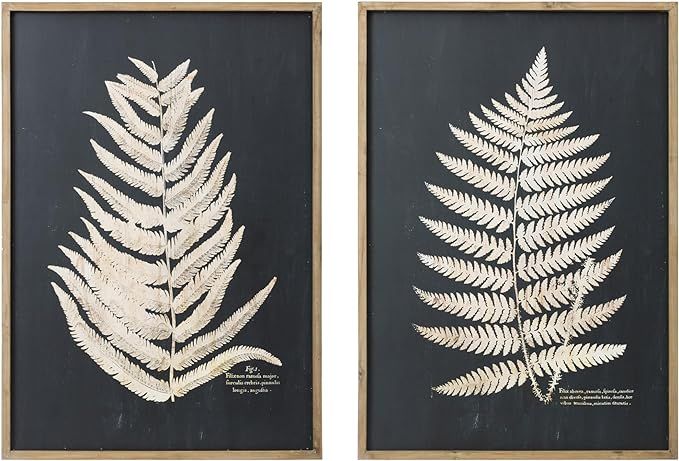 Wood Framed Wall Décor with Fern Leaf (Set of 2 Styles) | Amazon (US)