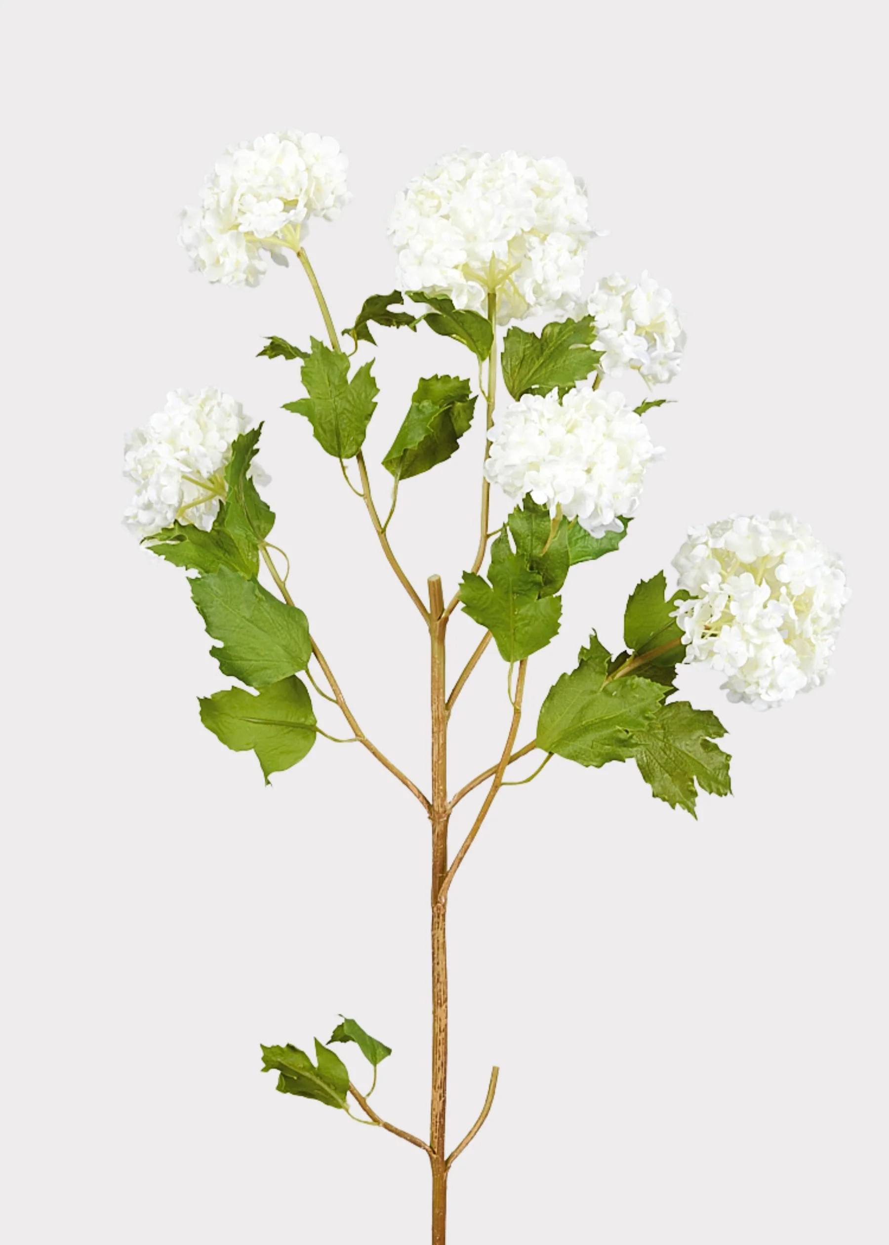 Snowball Flowers in White | Best Faux Botanicals at Afloral.com | Afloral