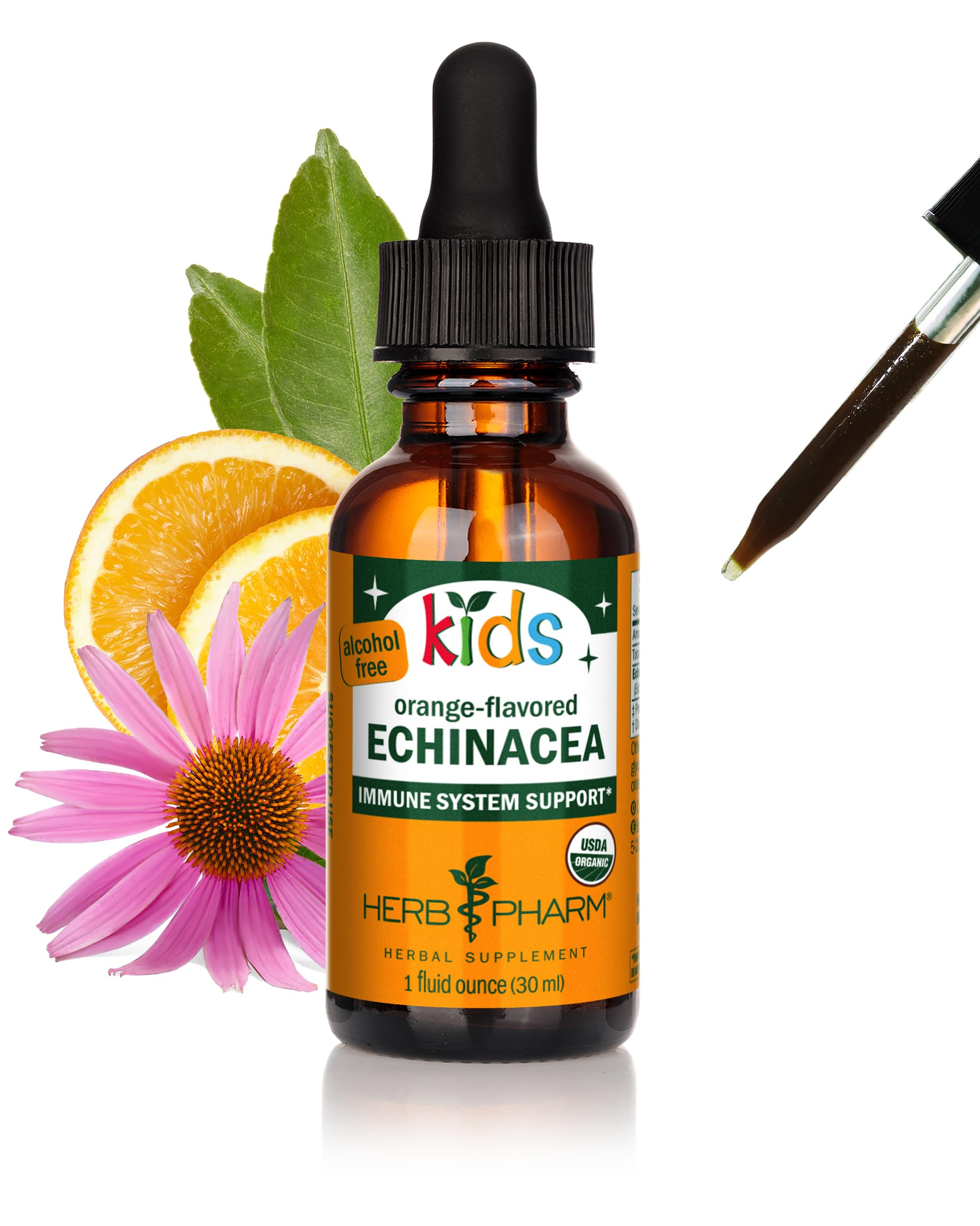 Herb Pharm Kids Certified-Organic Alcohol-Free Echinacea Glycerite Liquid Extract, 1 Ounce | Amazon (US)
