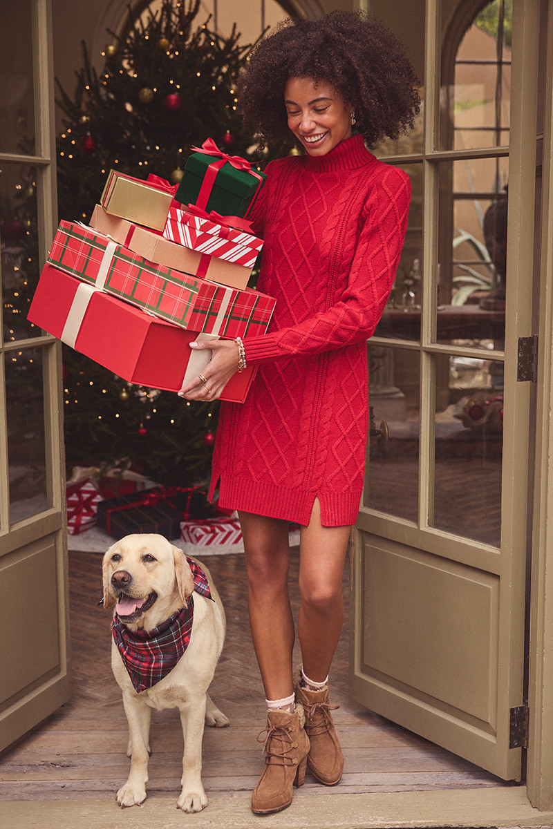 Gabrielle Turtle Neck Sweater Mini Dres | Francesca's