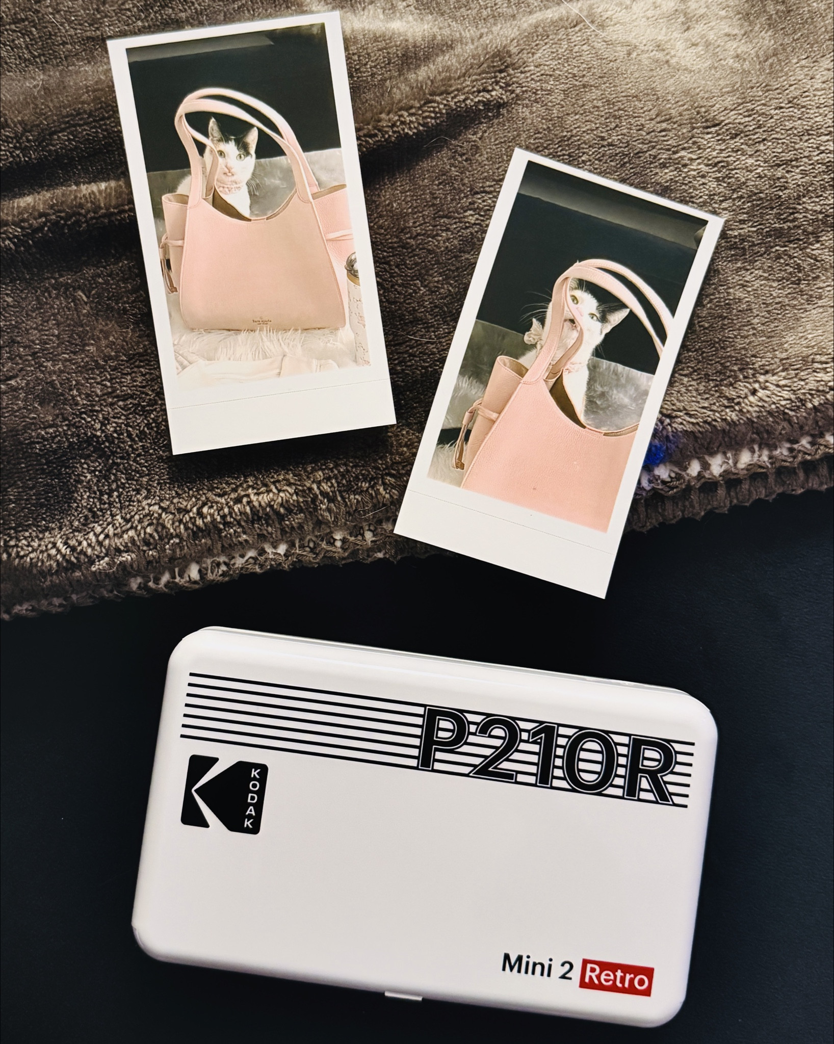 TBH I got a little tearful going through my albums from 2016–present 💔⛱️🪦👯‍♀️🎞️🧘🏻‍♀️🐱Holding these photos, I recalled painful trials I’ve endured since moving from Texas but also good experience, love, friendship, and new companionship that came out of them.

In this digital age when we can store and share photos instantly and indefinitely, it felt raw knowing that they were only snippets from a larger fabric of time. But actually having them in hand felt like a hug and tribute to those moments🫶🏼✨ I’m understanding more now why my mom was intent on developing our photos.

This mini photo printer connects to your phone via Bluetooth and its app where you have the option to edit, apply frames, and make collages. While not as crisp as store-developed photos, these instant pics are great for vision boards, mini frames, and snail mail.

#LTKstorytime #LTKHome #LTKSaleAlert