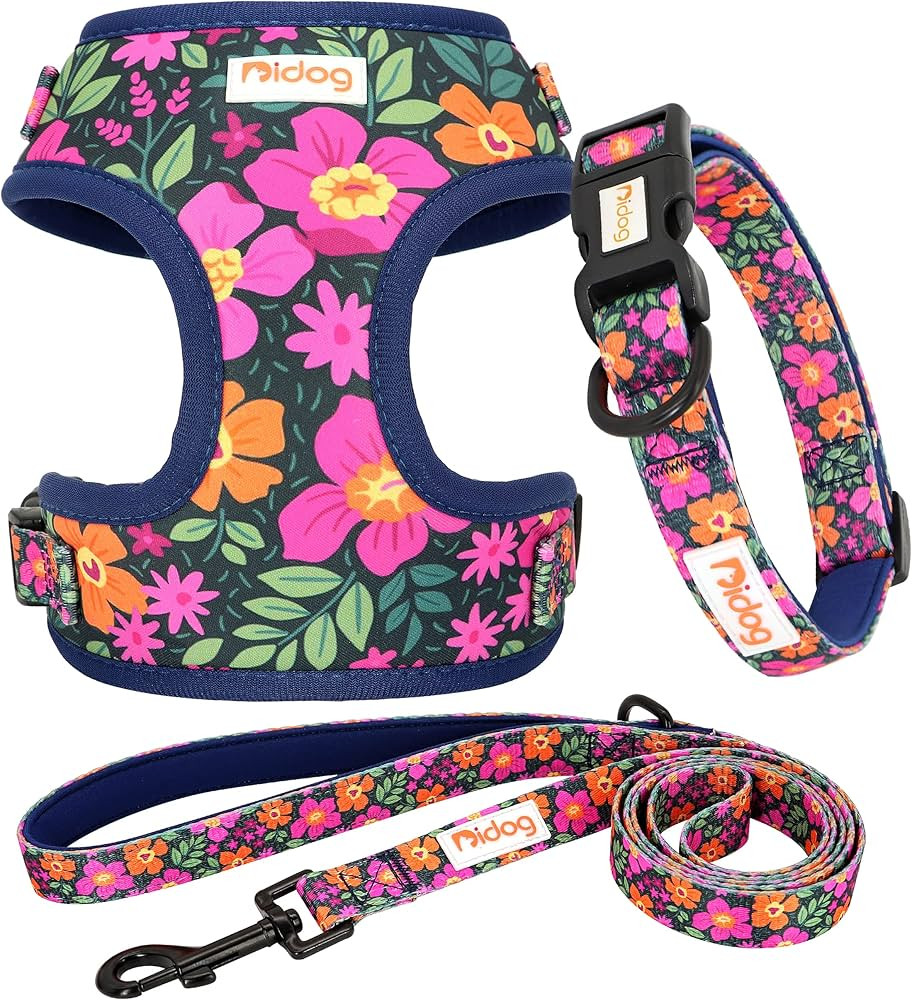 Didog No Pull Dog Harness Collar and Leash Set, Cute Pattern Puppy Dog Harness with Adjustable Co... | Amazon (US)