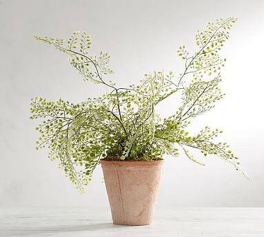 Faux Plants & Trees | Pottery Barn (US)