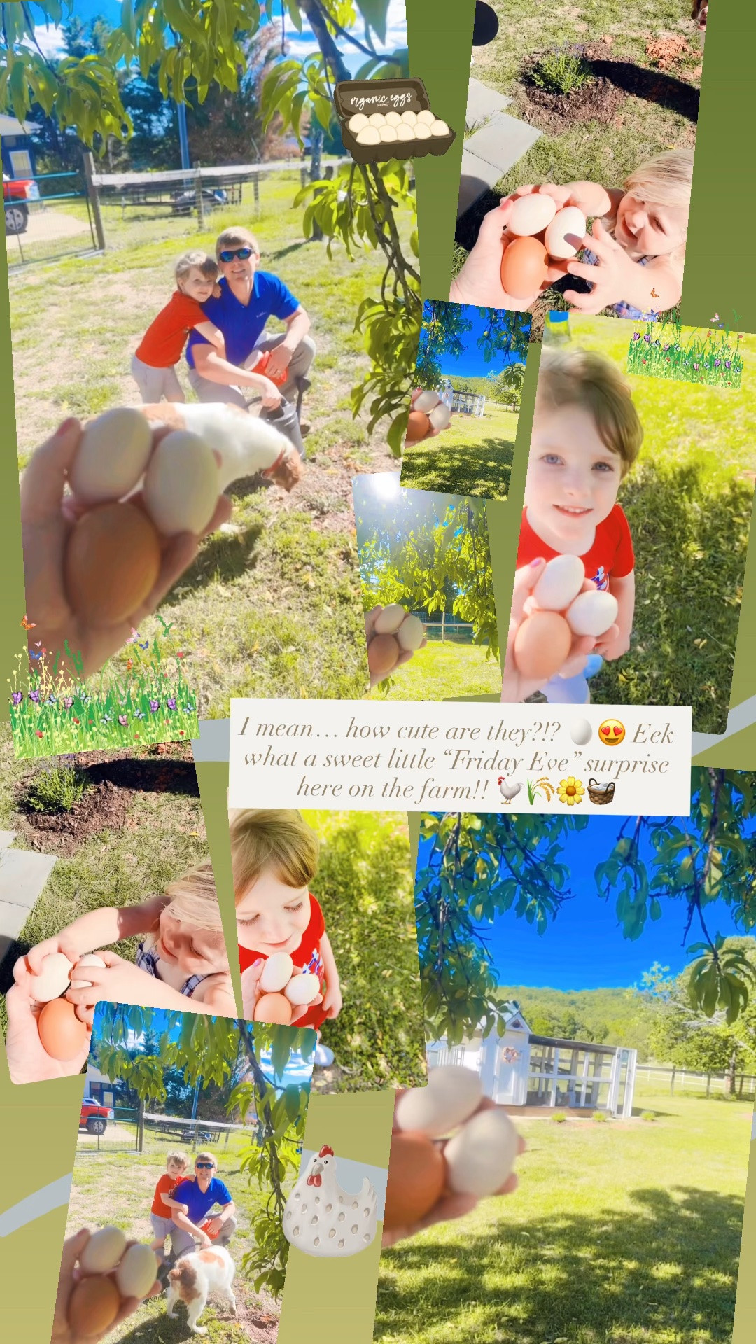 I mean… how cute are they?!? 🥚😍 Eek what a sweet little “Friday Eve” surprise here on the farm!! 🐓🌾🌼🧺