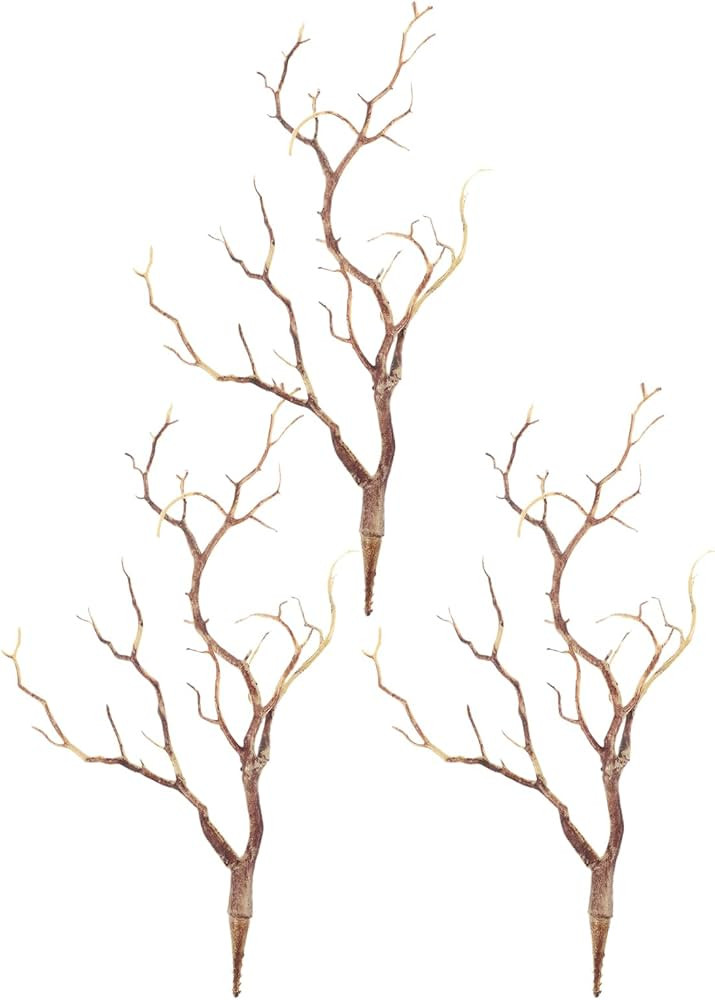 3pcs Plants Branches, Stems Stem Garden Supplies Horns DIY Arrangement Witch Coffee Dried Real Cr... | Amazon (CA)