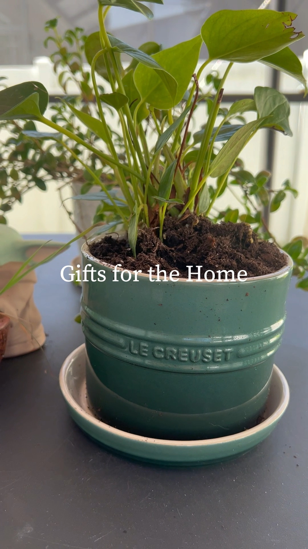 Gift Ideas For The Home 🏡  Home gifts are a great option for pretty much anyone on your list, especially the foodies. I’ve gathered a number of great home gift ideas here that are both affordable and crowd-pleasing. From trinkets and decor to kitchenwares (including this Le Creuset planter (under $30!)) and bar accessories, these gift ideas for the home are perfect for pretty much anyone on your list. 

#LTKGiftGuide #LTKSeasonal #LTKhome