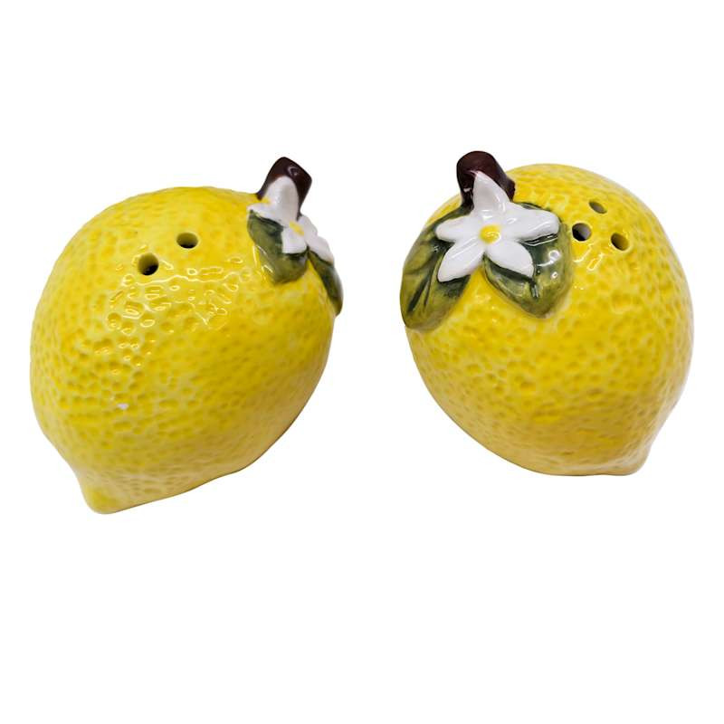 Lemon Ceramic Salt & Pepper Shaker Set | At Home