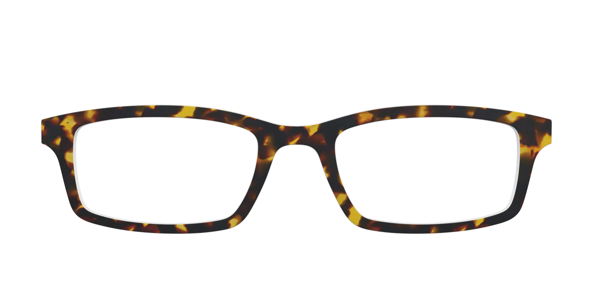 The Tortoise | Pair Eyewear