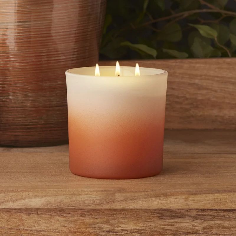 Leaves and Cashmere Scented Jar Candle | Wayfair North America