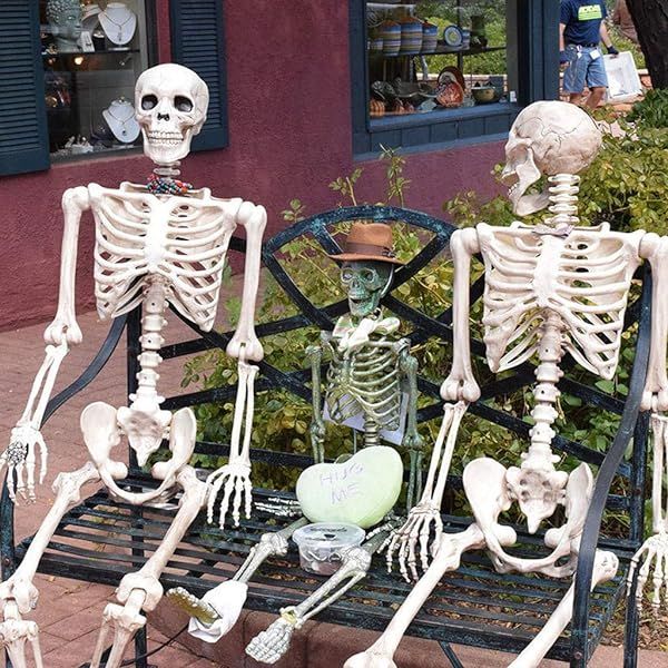 5 ft Pose-N-Stay Life Size Skeleton Full Body Realistic Human Bones with Posable Joints for Hallo... | Amazon (US)