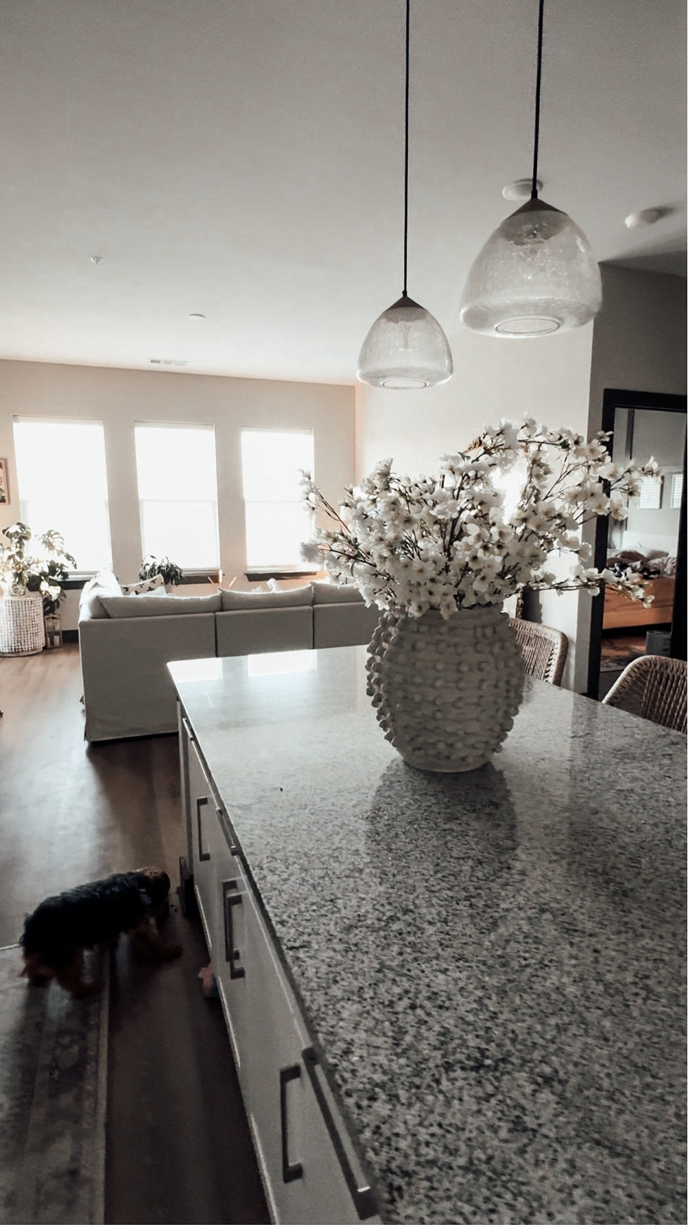 Kitchen Island Decor Ideas 

Scroll to shop.

#LTKSeasonal #LTKHome #LTKOver40