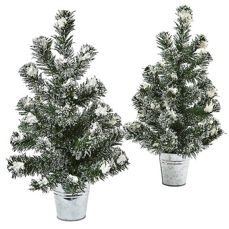 Mini Pine Trees in Tin Planters, Set of 2 | Kirkland's Home