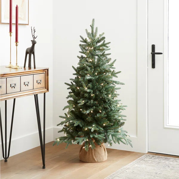 4' Lighted Artificial Pine Christmas Tree | Wayfair North America