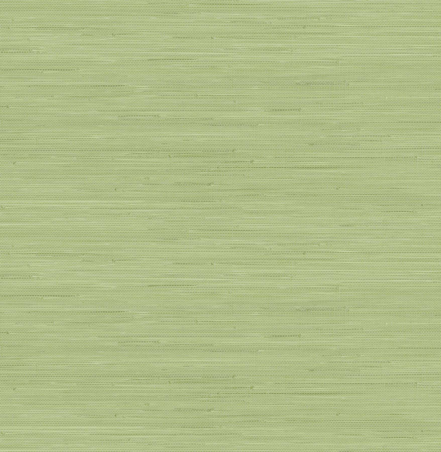 NuWallpaper x Social Social Classic Faux Grasscloth Peel and Stick Wallpaper, Citrus Green | Amazon (US)