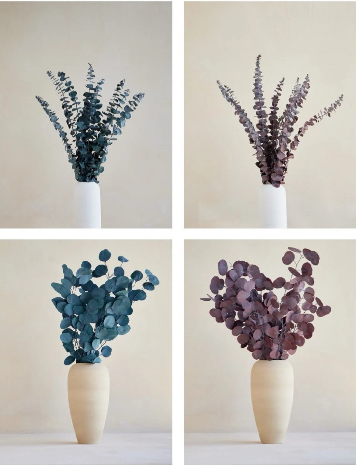 Freshen up your space with this preserved eucalyptus bunch, designed to bring a natural, calming touch to any room. With its soft color variations and graceful movement, it’s perfect styled on its own or layered into arrangements for added depth and greenery. Long-lasting and maintenance-free, this versatile bunch makes it easy to elevate your home with effortless, organic style. #ltkhome #ltkdecor #eucalyptus #driedflowers #greenerydecor #bohodecor #homestyling #cozyhome #sustainabledecor

#LTKSeasonal #LTKHome #LTKWedding