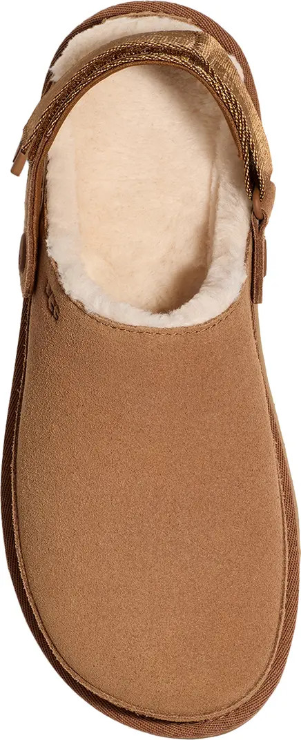 Goldenstar Cozy Clog (Women) | Nordstrom