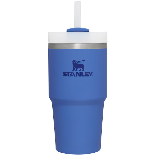 Stanley Quencher 20-fl oz Stainless Steel Insulated Tumbler | Lowe's