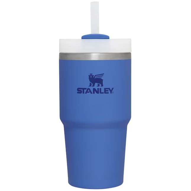 Stanley Quencher 20-fl oz Stainless Steel Insulated Tumbler | Lowe's