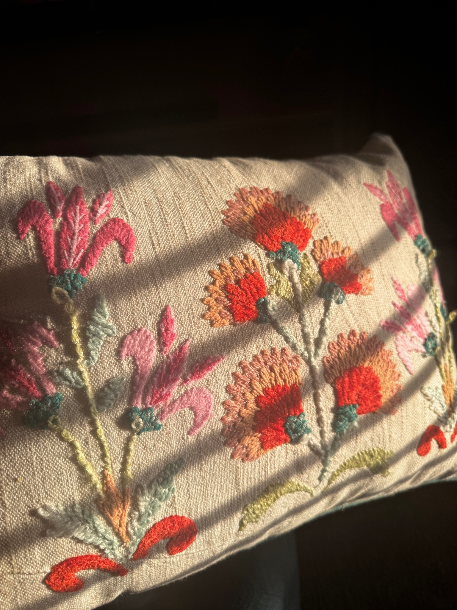 Gorgeous pillows at world market cost plus

#LTKHome
