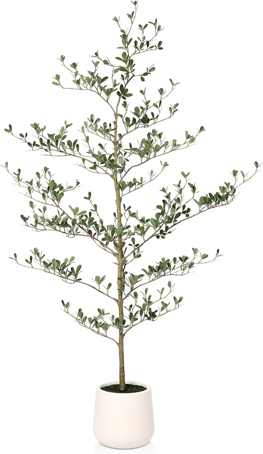 Artificial Black Olive Tree 5FT - Faux Olive Trees with Modern White Planter & Moss for Indoor Ho... | Walmart (US)