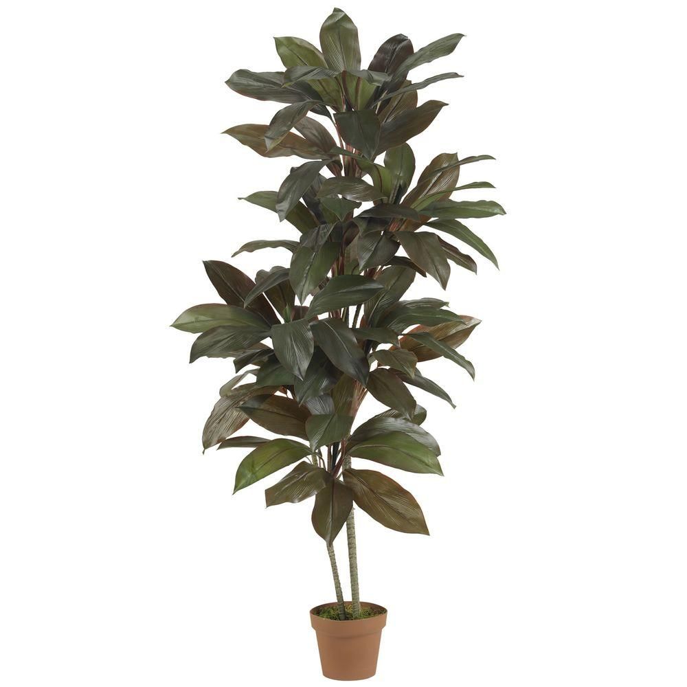Indoor 5 ft. Cordyline "Real Touch" Silk Plant | The Home Depot