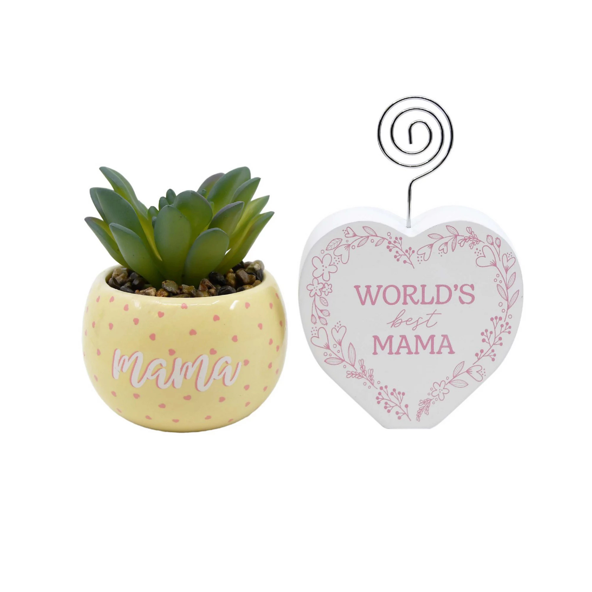 Succulent & Photo Clip Gift Set for Mom or Grandma | Kohl's